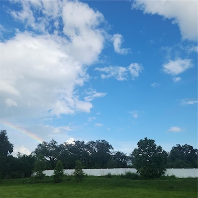 4137 New River Rd, Wesley Chapel, FL 33543 - photo 3