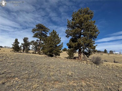 381 Remington Rd, Jefferson, CO 80456 - photo 6