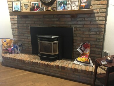 pellet stove