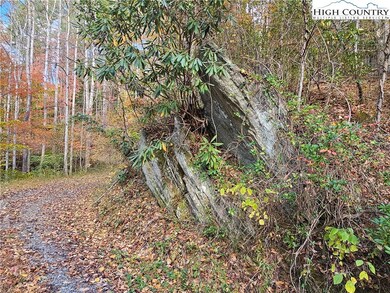 TBD Bent Bow Dr, Lenoir, NC 28645 - photo 5