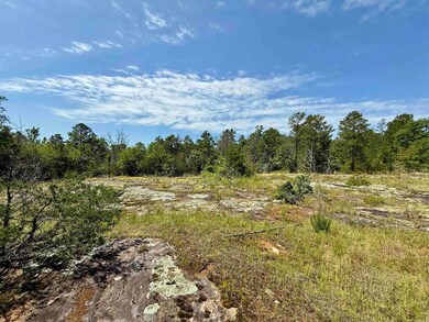 001-01049-000 Cr 128, Calico Rock, AR 72519 - photo 6