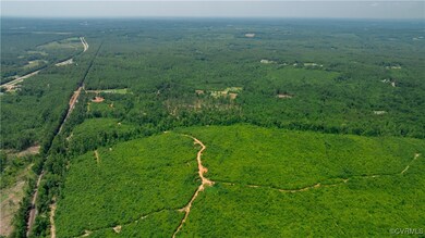 143 ACRES Old Peach Orchard Ln, Meherrin, VA 23954 - photo 4