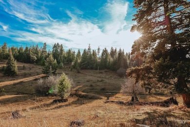 TBD Boles Rd, Cottonwood, ID 83552 - photo 3