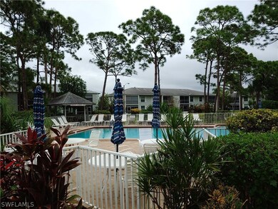 Pool, lawn chairs, table with umbrellas, BBQ, pool floats, books, outdoor bathroom, community board