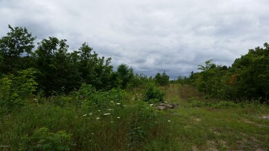 20150824_125002_resized