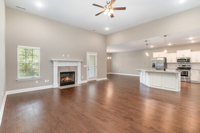 2406 Tredwell Ave, Murfreesboro, TN 37128 - photo 4