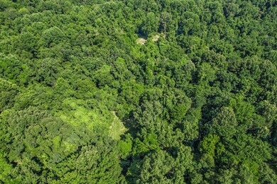 50 Proby Rd, Natchez, MS 39120 - photo 4