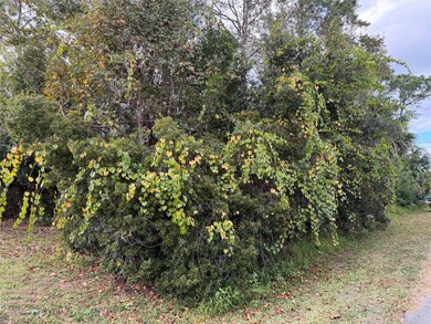 22 Westglen Ln, Palm Coast, FL 32162 - photo 5