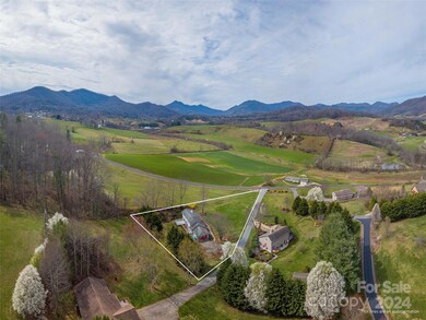 11 Lady Bug Ln, Leicester, NC 28748 - photo 4