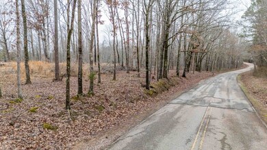 705 Post Office Rd, Michie, TN 38357 - photo 4