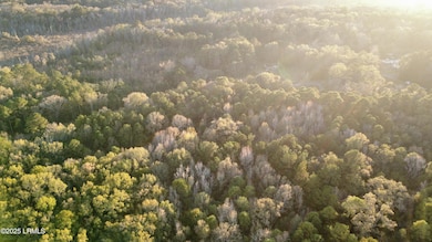 80 Big Estates Cir, Yemassee, SC 29945 - photo 2