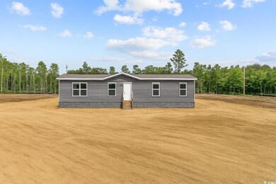 1301 Rabbit Ln, Conway, SC 29526 - photo 4