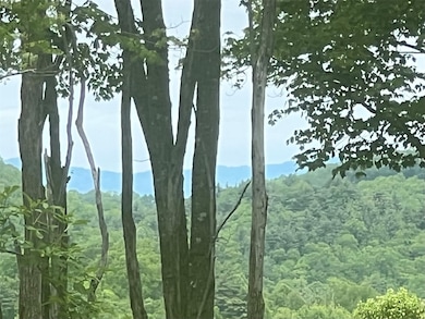 Long range mountain view