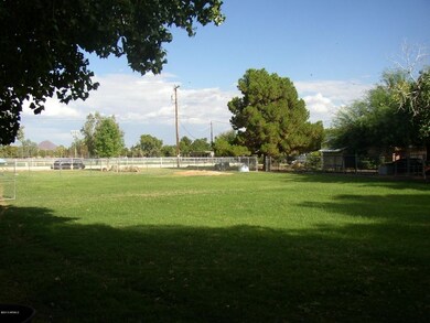 view from NW corner looking SE