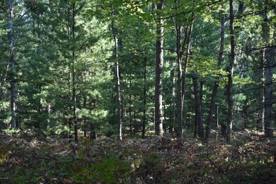 10452 N Woodbridge Ave, Bitely, MI 49309 - photo 5