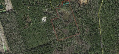 xx Simmie Dr, Crawfordville, FL 32327 - photo 5