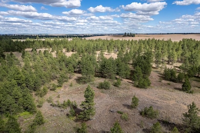 35430 Prairie Ln N unit Lot 3, Creston, WA 99117 - photo 5