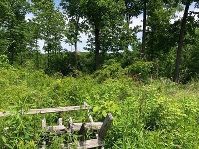 Lots R,1&2 Waite Corner & Collins Rd, North Brookfield, MA 01535 - photo 5