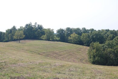 1272-X Moorefield Rd, Carlisle, KY 40311 - photo 3