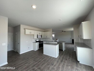 1017 Josh Ct, Greenville, NC 27834 - photo 3