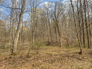 IMG_3047