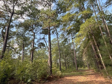 woods 2