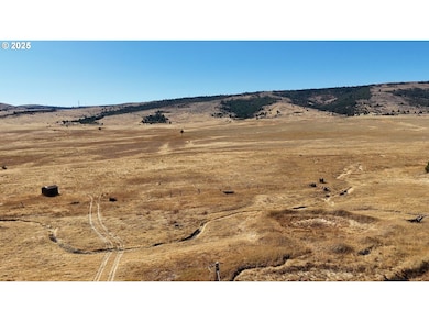 79210 Back Walters Rd, Maupin, OR 97037 - photo 4