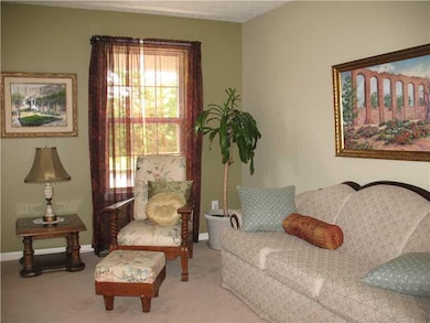 Living Room. Brand New Carpet