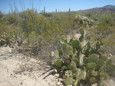 XX Derio, Marana, AZ 85658 - photo 3