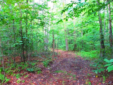 0 Campbell Hill Rd unit R1648861, Middlefield, NY 13326 - photo 5