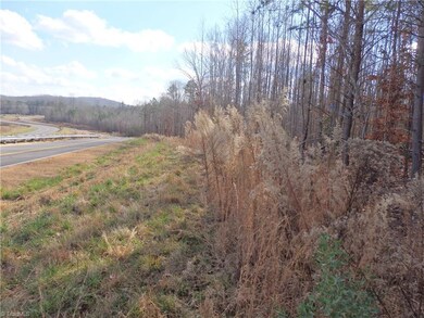 0 Lewis Thomas Rd, Grant, NC 27205 - photo 6