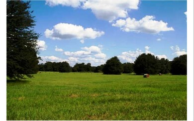 TBD 29th Rd, Branford, FL 32008 - photo 2