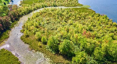 VL In Lake N, Coldwater, MI 49036 - photo 7