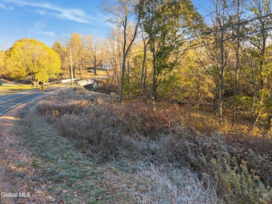 L8 Argusville Rd, Sharon, NY 13459 - photo 5