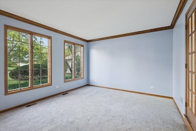 11325 Hummingbird Ln, Mokena, IL 60448 - photo 6