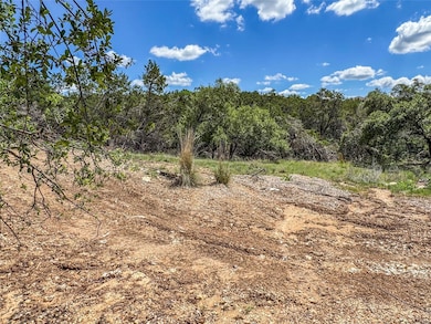 View of tree filled area