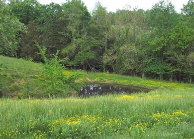 Good pond on top of knoll