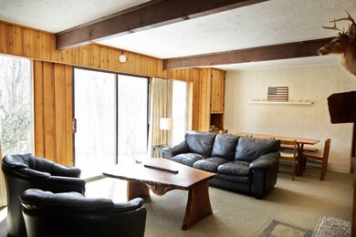 3 Bromley Forest Rd, Winhall, VT 05340 - photo 4