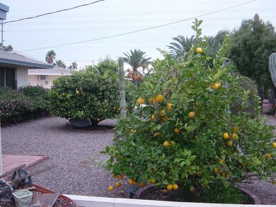 9919 W Crosby Cir S, Sun City, AZ 85351 - photo 5