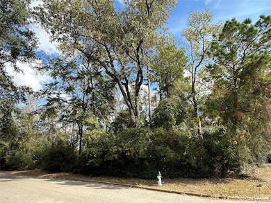 218 Broadmoor Dr, Huntsville, TX 77340 - photo 3