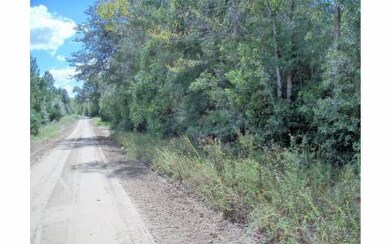 0 43rd Dr, Branford, FL 32008 - photo 2