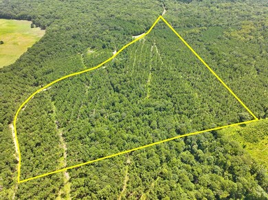 0 Slim Palmer Rd unit 23385330, Zavalla, TX 75949 - photo 2