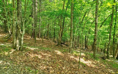 Lt33-34 Lt 33-34 Dogpatch Ln, Blue Ridge, GA 30513 - photo 2