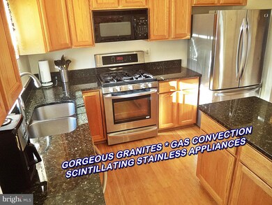 20916 Mountain Lake Terrace, Germantown, MD 20874 - photo 4