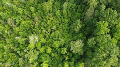 DJI_0013