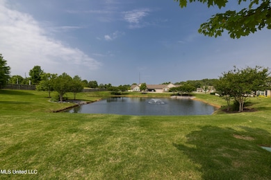 Lake View from Condo