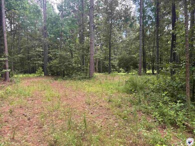 TBD CR 3 Fm 3129 -8 38, Queen City, TX 75572 - photo 7