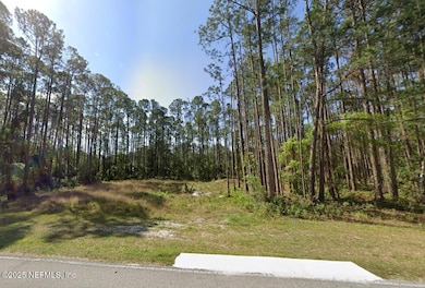 245 & 243 Georgetown Denver Rd, Georgetown, FL 32139 - photo 2