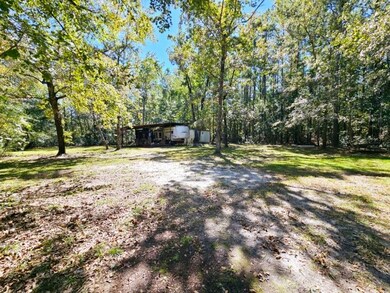 3747 Belle Hammock Rd NE, Townsend, GA 31331 - photo 6