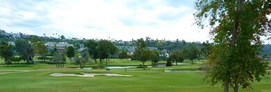 7349 Almaden Ln, Carlsbad, CA 92009 - photo 5